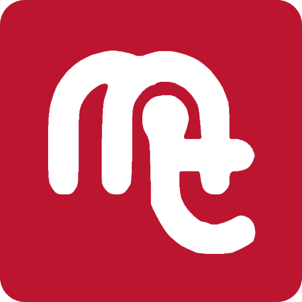 Munster Towbars logo